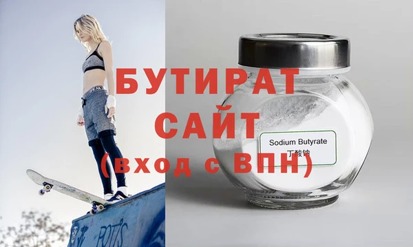 шишки Няндома