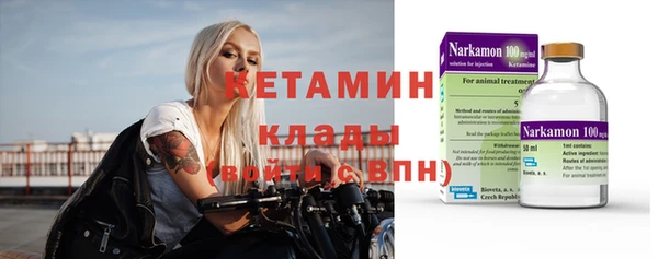шишки Няндома