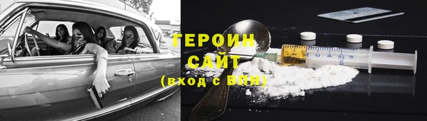 шишки Няндома