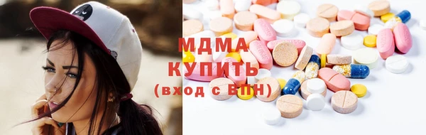 шишки Няндома