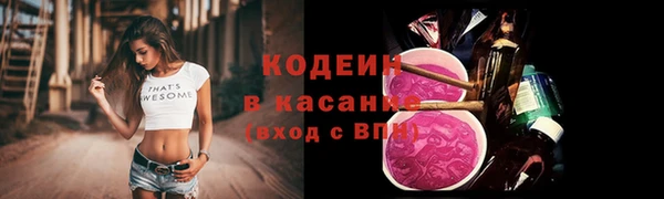 ГАЛЛЮЦИНОГЕННЫЕ ГРИБЫ Апатиты