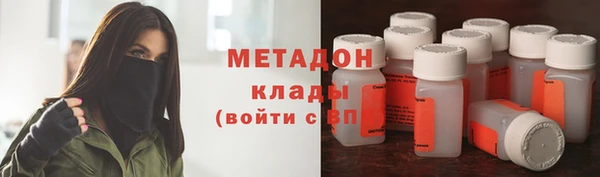 шишки Няндома