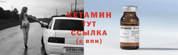 прущие крисы Болотное