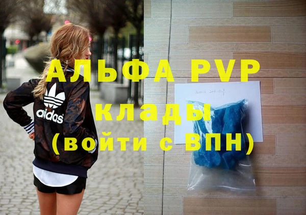 шишки Няндома