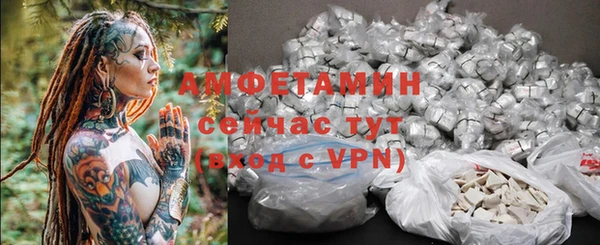прущие крисы Болотное