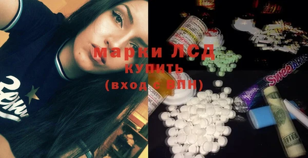 шишки Няндома