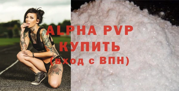 шишки Няндома