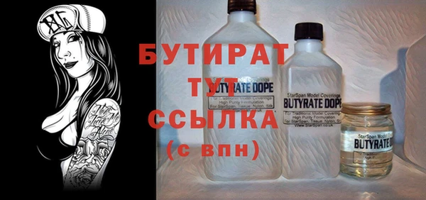 шишки Няндома