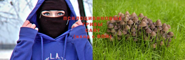 мдма Болхов